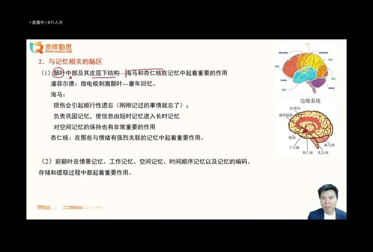 大脑记忆编码与提取过程示意图