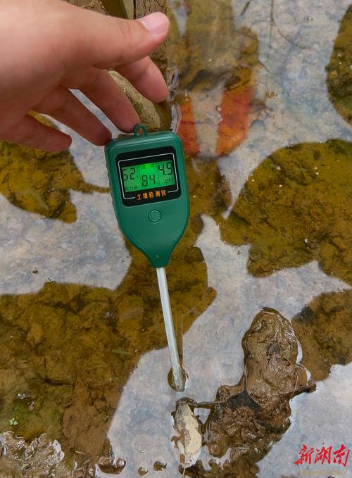 沃柑种植户使用便携式土壤检测试纸