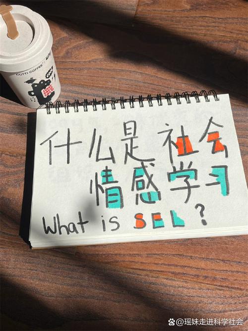 社会情感学习，真的能教吗？