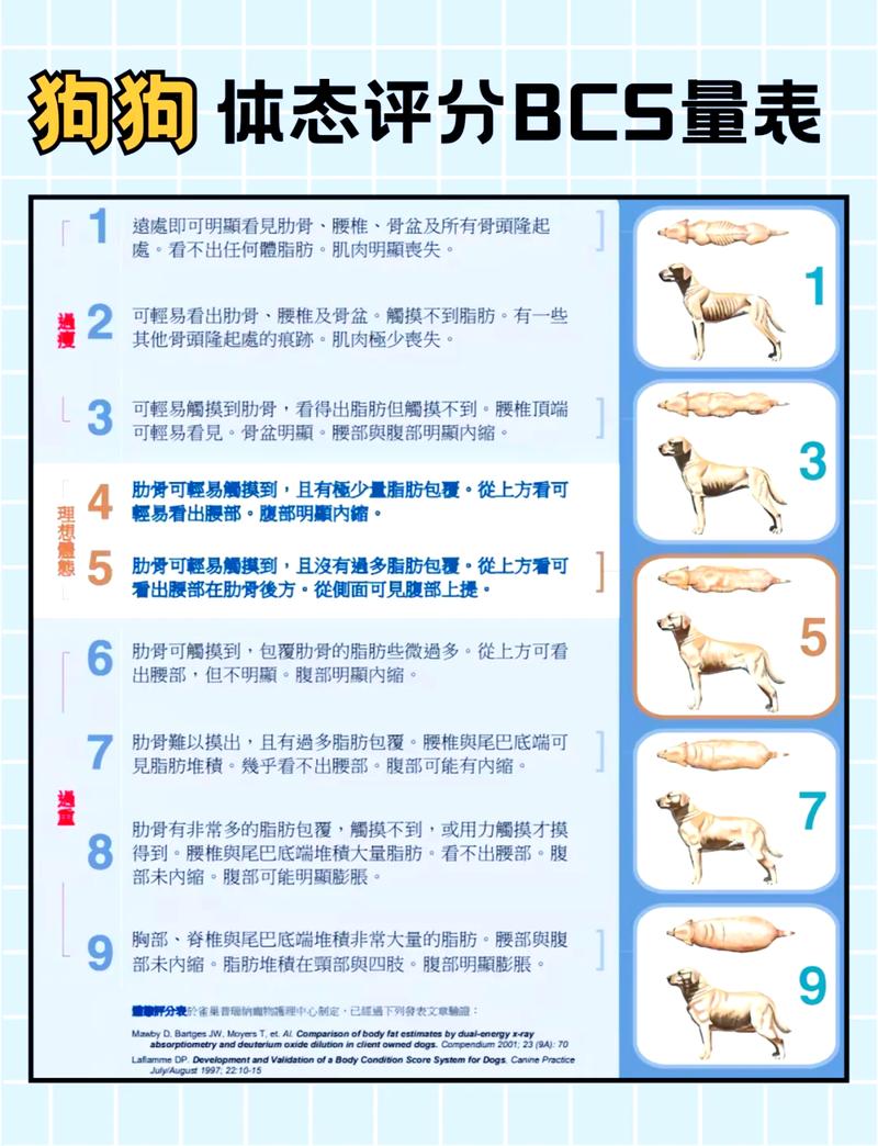 宠物BCS体况评分对照表高清图
