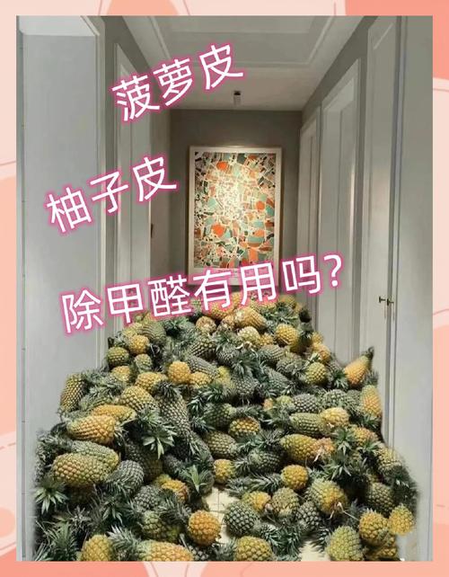 果皮除甲醛错误示范对比专业净化