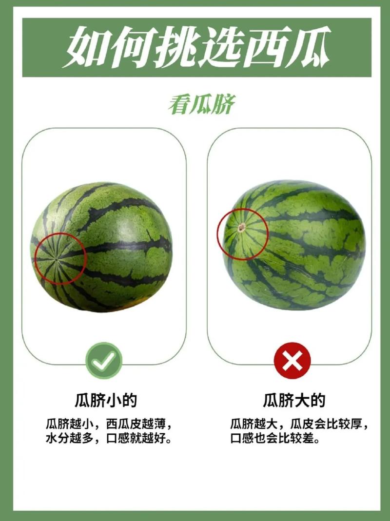 那么,怎么挑、怎么吃?