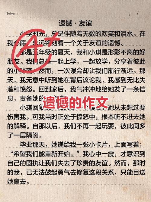 写在最后的一些零散感想