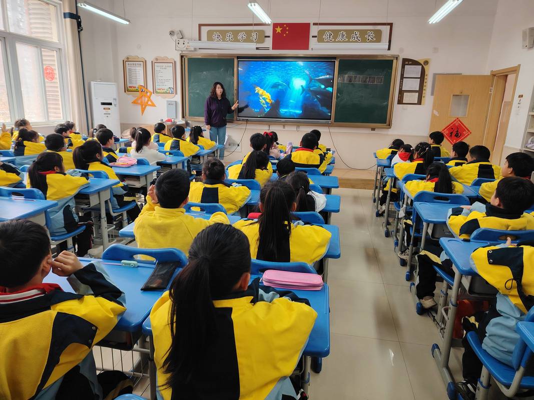 小学课堂情境导入师生互动场景