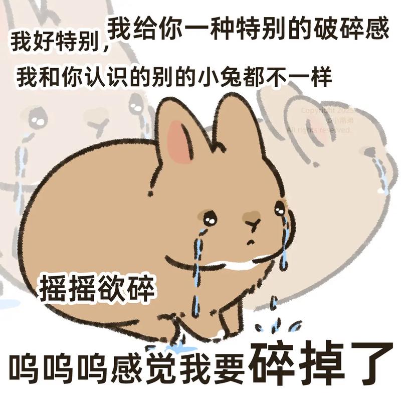 一些碎碎念（其实就是吐槽）
