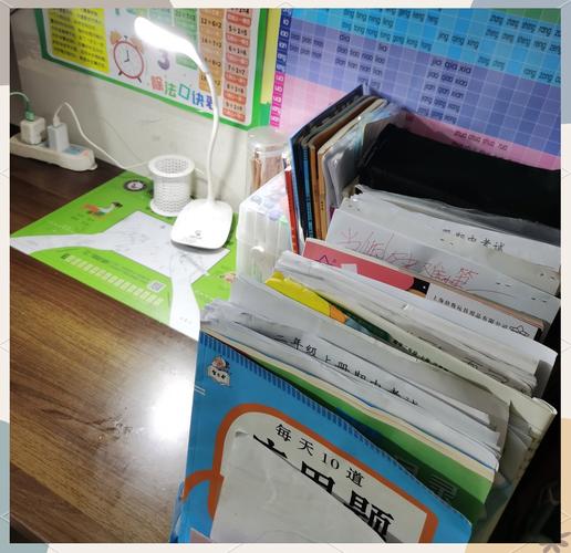 小学生社会实践摆拍整理货架照片