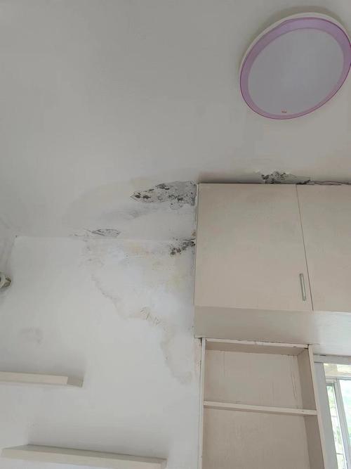 楼梯下储物柜潮湿发霉实拍