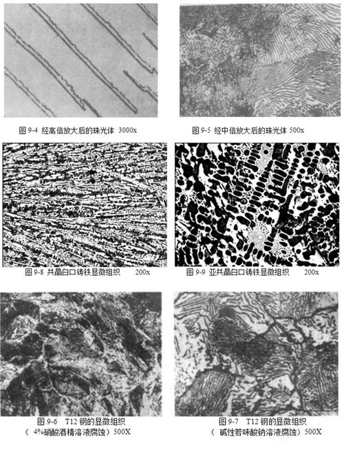 腐蚀后钢材金相组织显微图