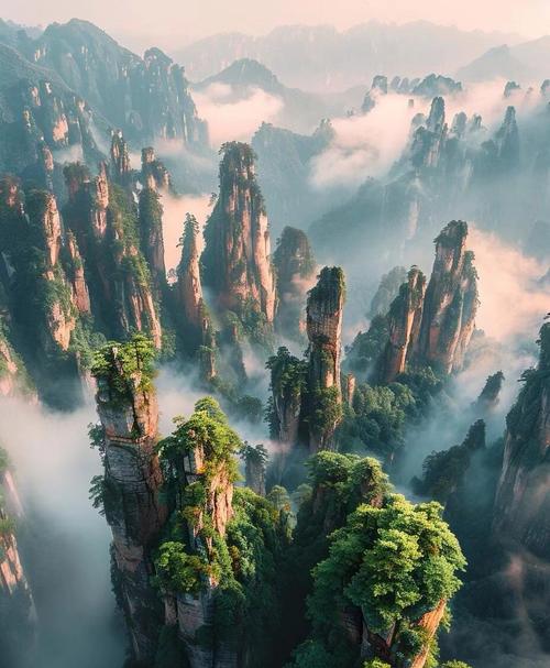 张家界核心景区清晨雾绕奇峰实景