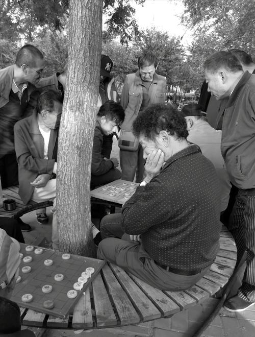 老街大榕树下佩戴AR眼镜看棋盘场景