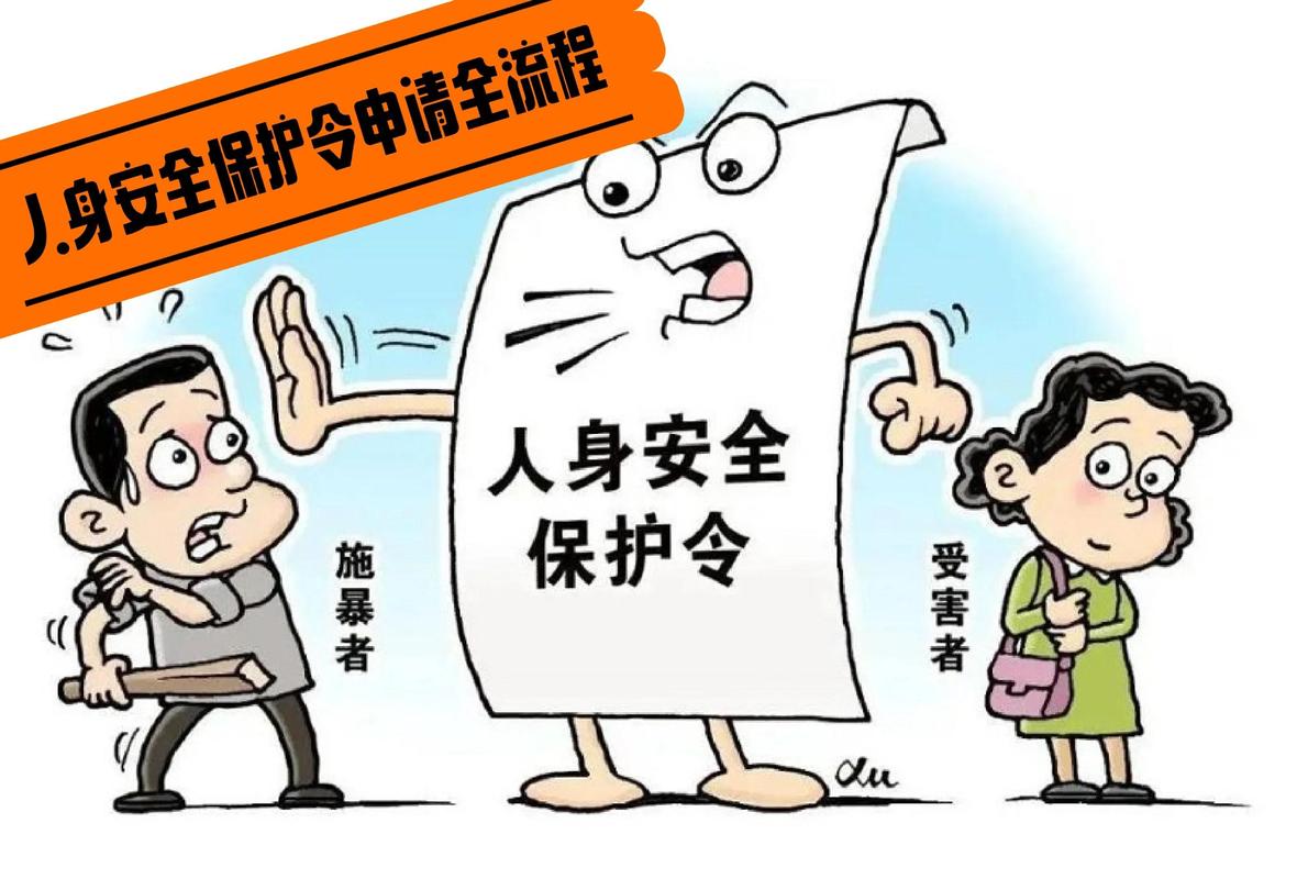 人身安全保护令核心举证效力排序图