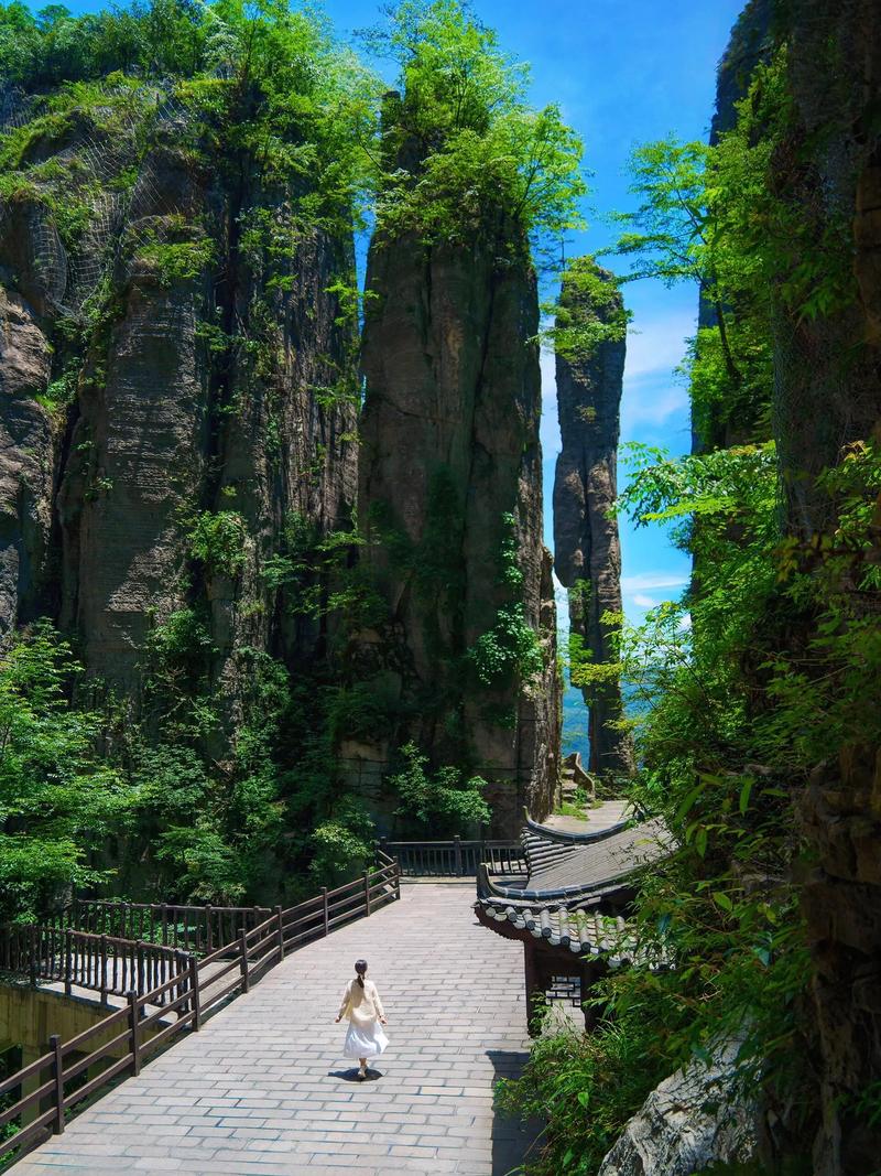 恩施大峡谷后山野径