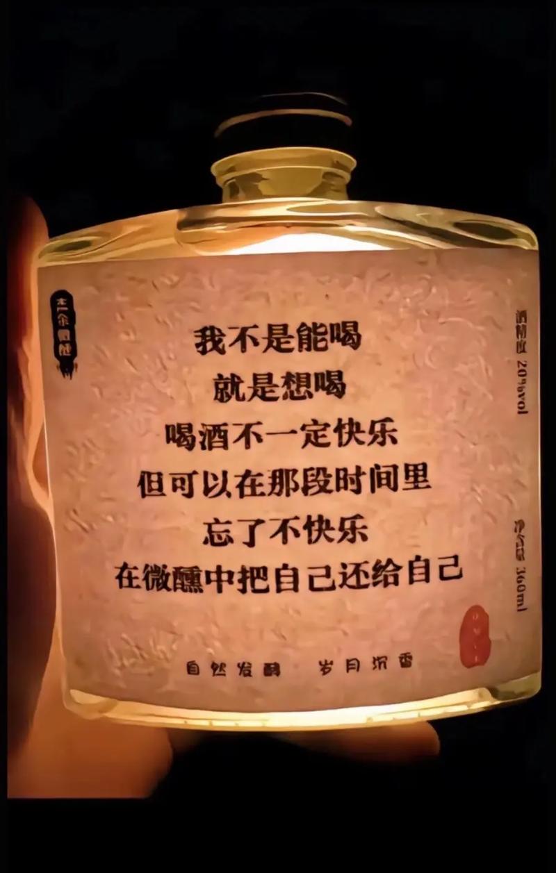 有点小酒助兴可以，但别喝出麻烦来