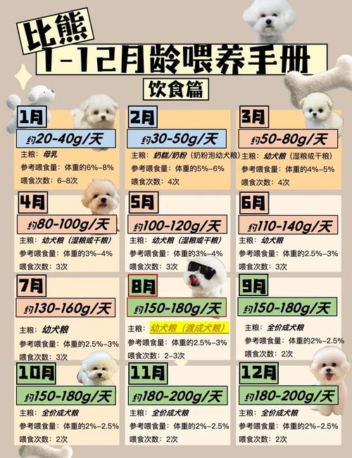 健康宠物喂养定时定量喂食法
