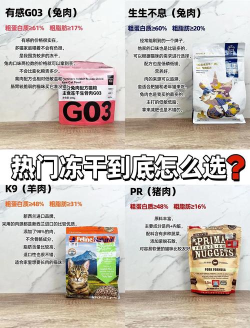 不同需求，对应选才不会错