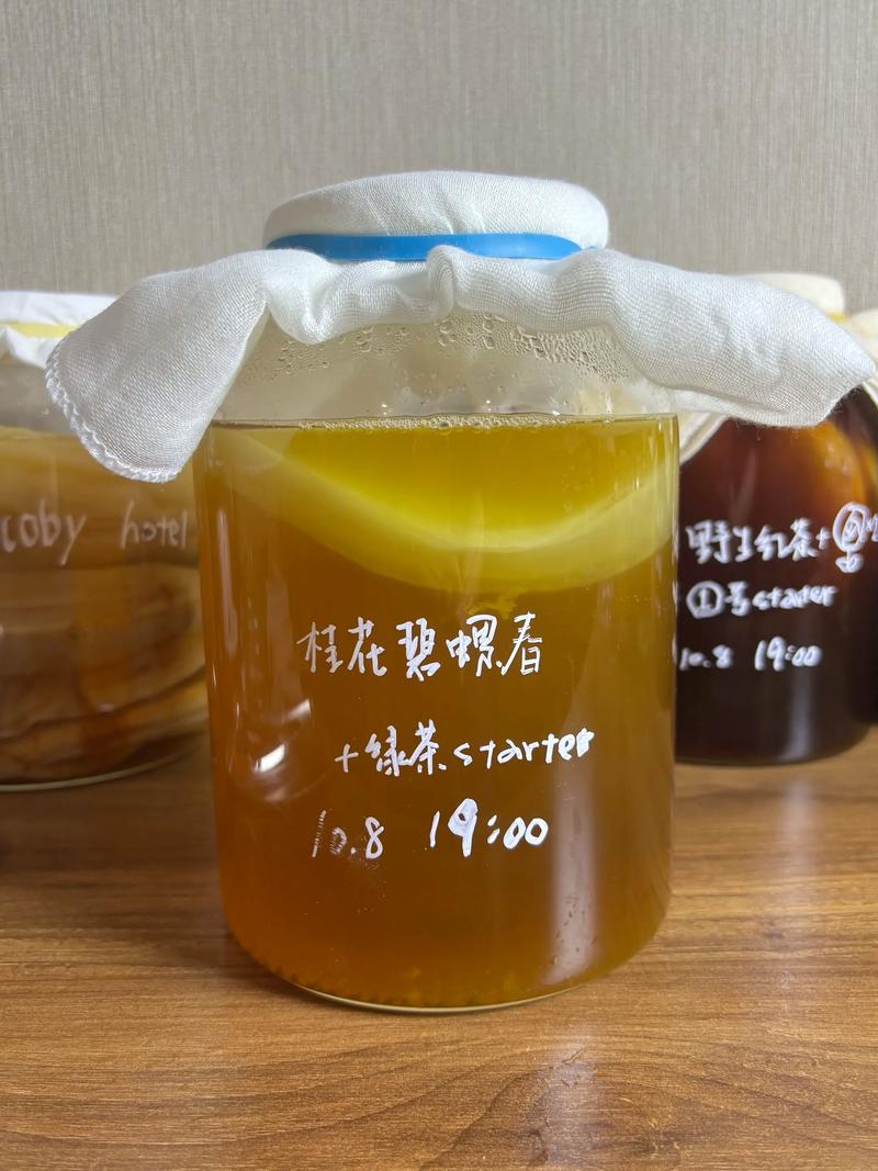 家庭自制康普茶玻璃罐发酵过程特写