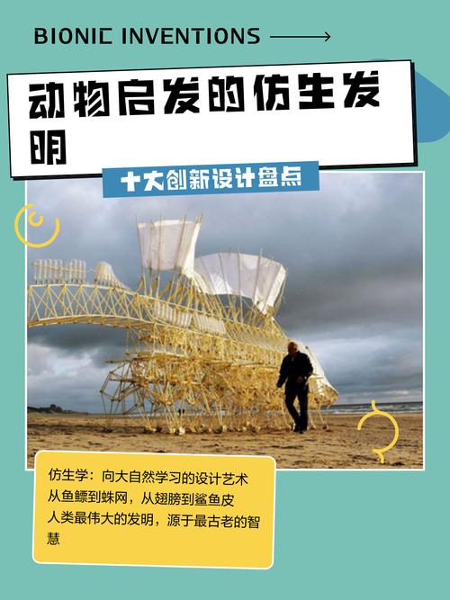 别神化也别贬低，生物启发算法就是大自然给的工具