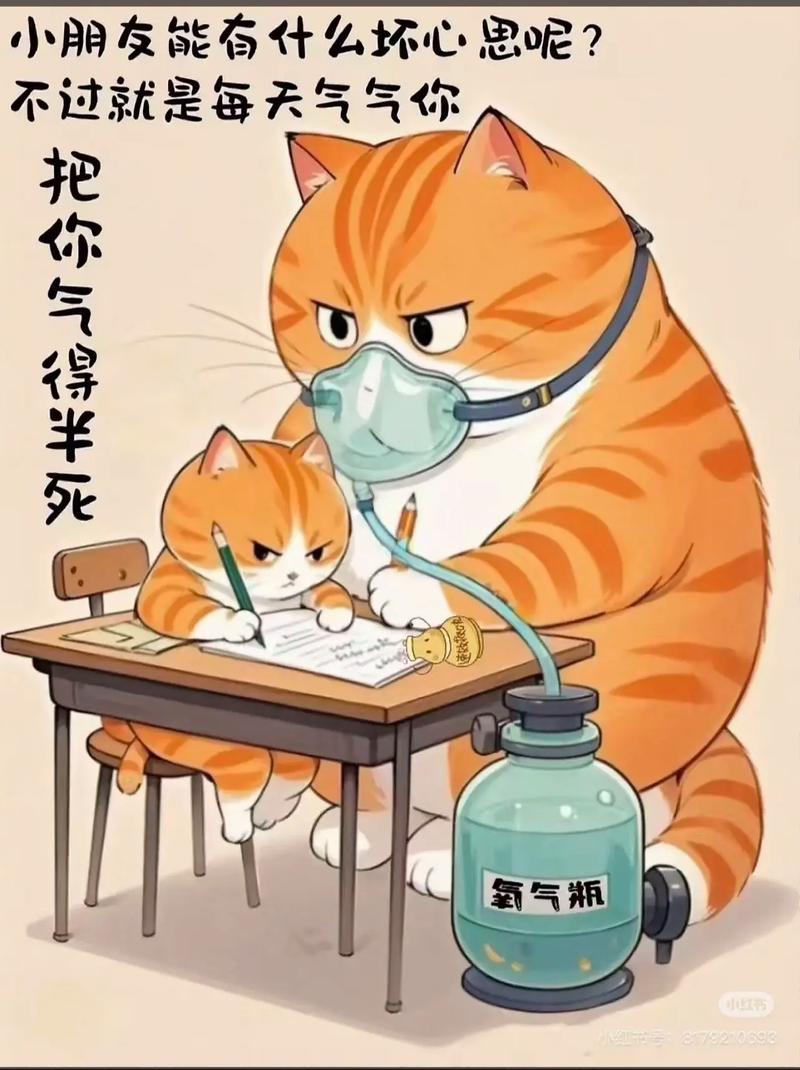 关乎体验：装不好就是天天心塞