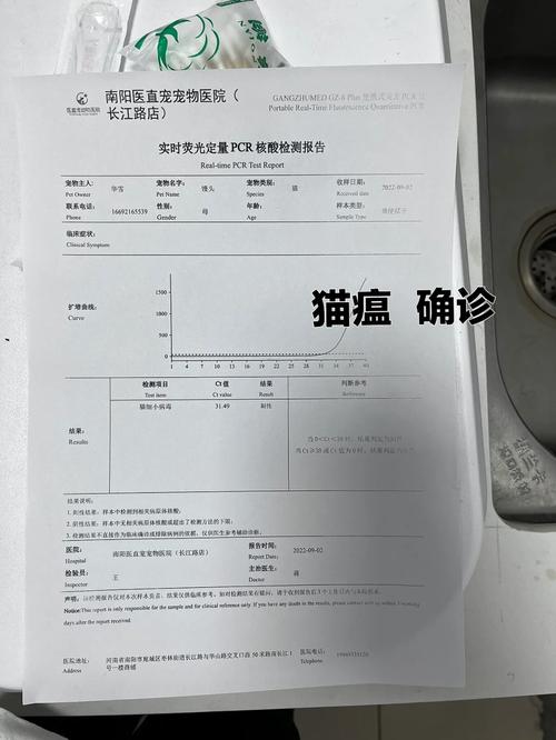 宠物医院猫咪传染病核酸检测报告实拍