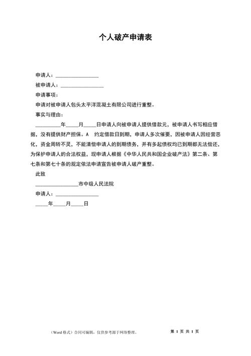个人破产申请财产申报填写模板