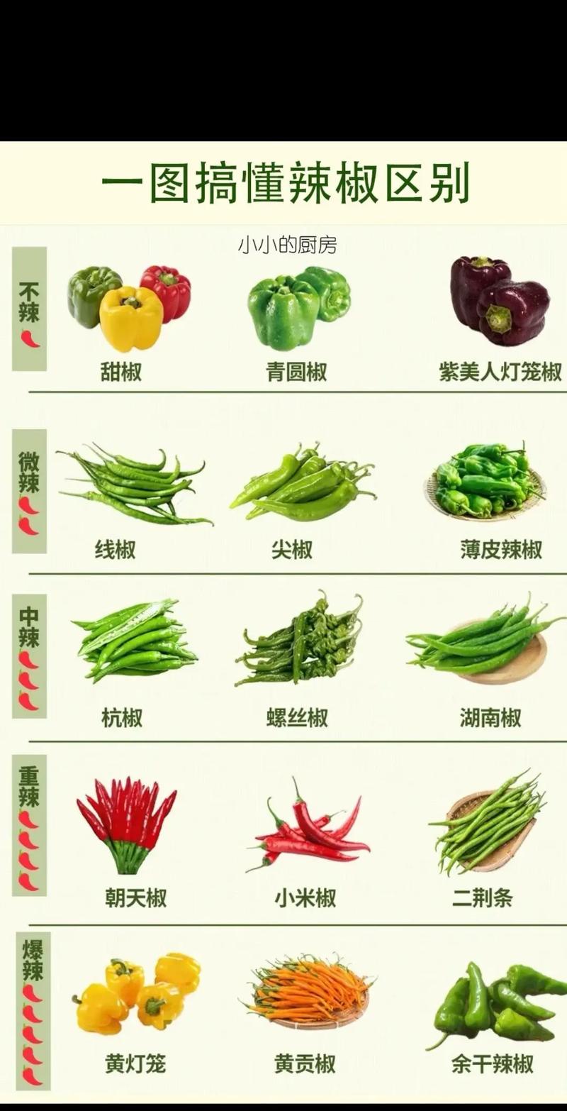 辣椒：从南美丛林到午夜烧烤摊的暴烈美学-因为所以