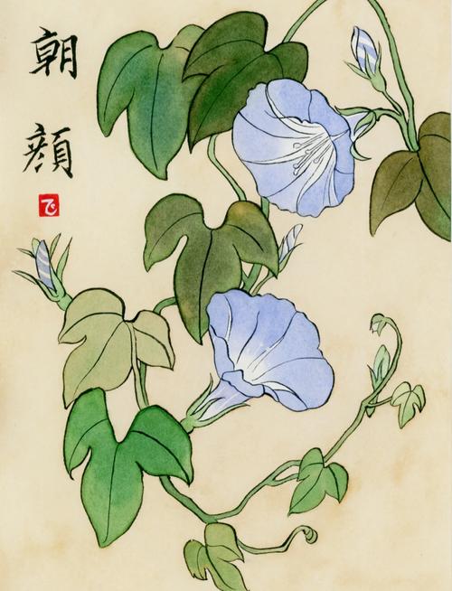 古代日本花谱版画牵牛花图