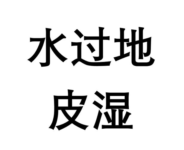 为什么你的社会实践总是“水过地皮湿”？