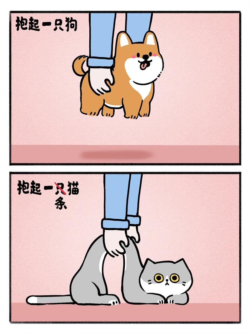 别把猫当狗，它们压根没被驯化