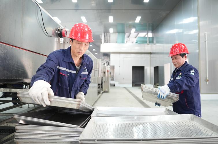 食品机械厂家上门安装调试现场