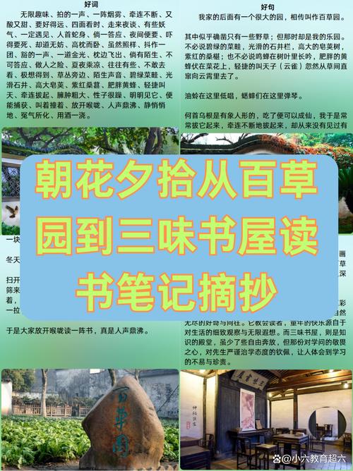 🌿 入住篇：日子过得去才是真的好