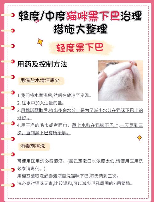 轻度猫黑下巴日常清洁示范