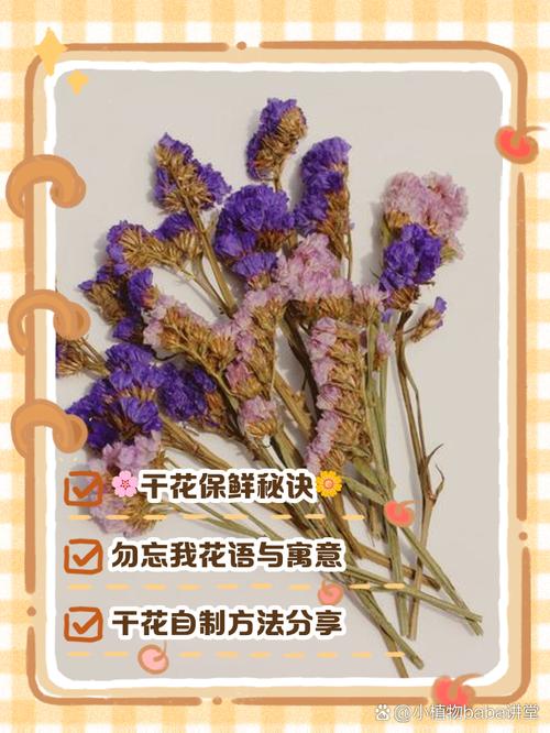 干花自身的气味到底还在不在?