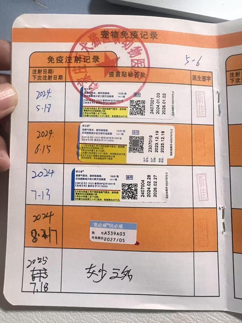 家养猫咪核心疫苗接种记录单实拍
