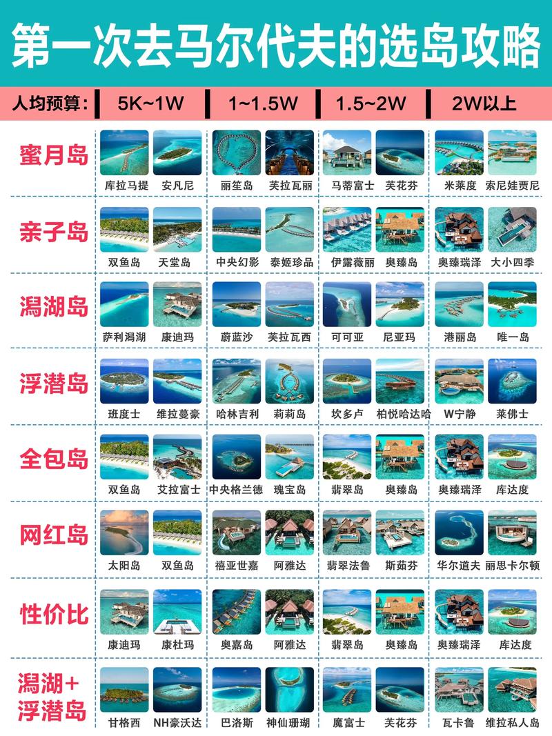 我私藏的选岛清单(拿走不谢)