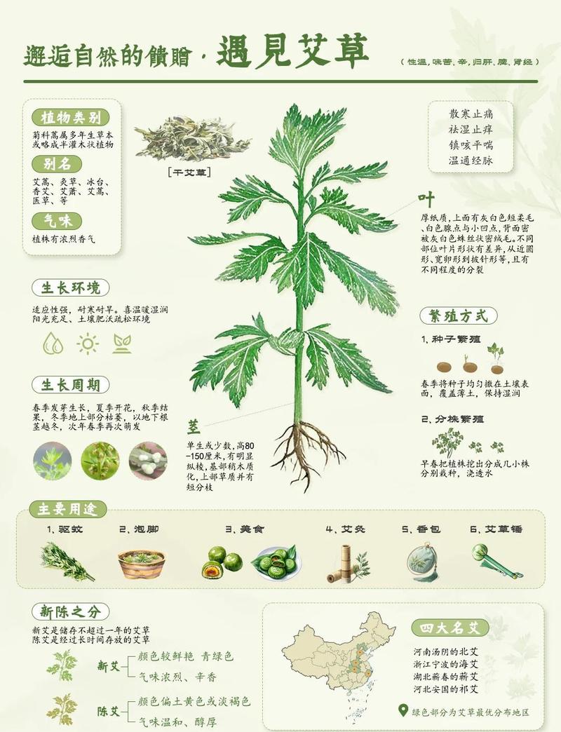 🌿 环保与避坑