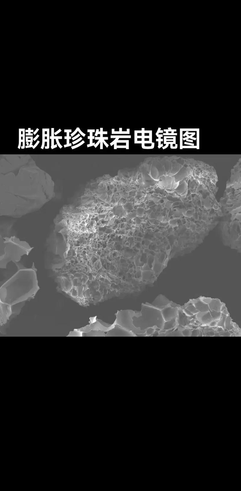 膨胀珍珠岩颗粒电镜扫描图