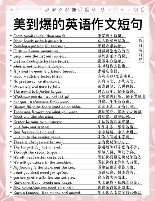 英语单词结合个人生活造句示例