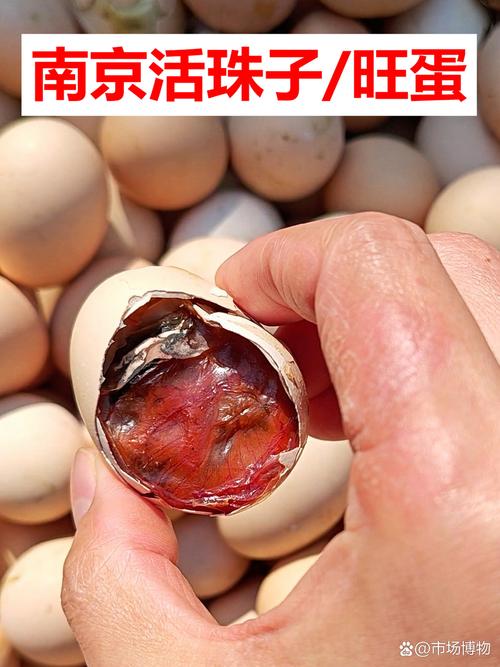 为什么我们离不开这些毛茸茸的混蛋?