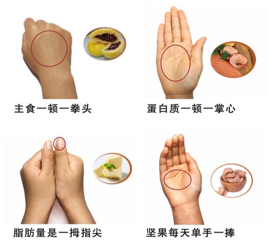 每日坚果适宜食用量手掌直观示意图