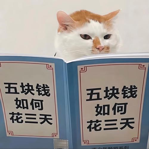 一、清包省钱?别天真了!
