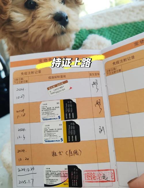 幼犬接种犬细小疫苗流程记录