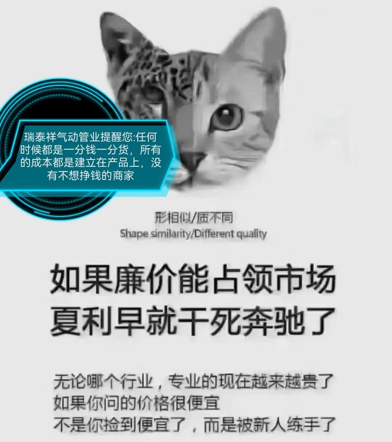 别被销量骗了！材质才是致命一击