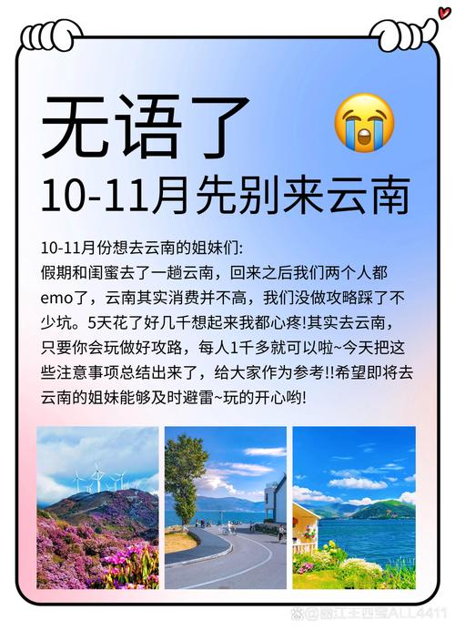 自己踩出来的经验，才是真的值钱
