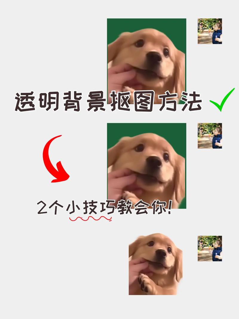 抠图换背景制作表情包过程