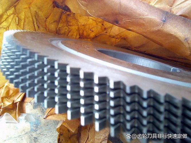 剃齿修形齿轮红丹接触区检验实拍图