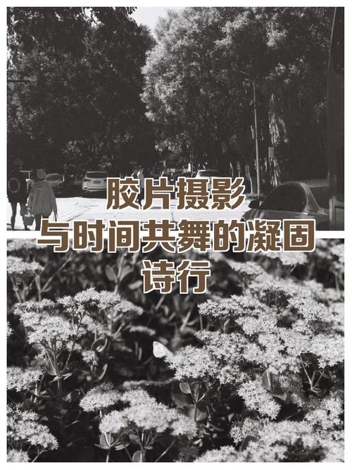 诗行是时间的切片