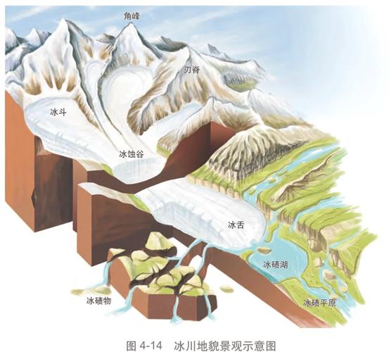 蒙着眼睛的羊带领羊群走向悬崖的实验示意图