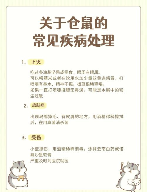 宠物生病，别全靠老经验扛着