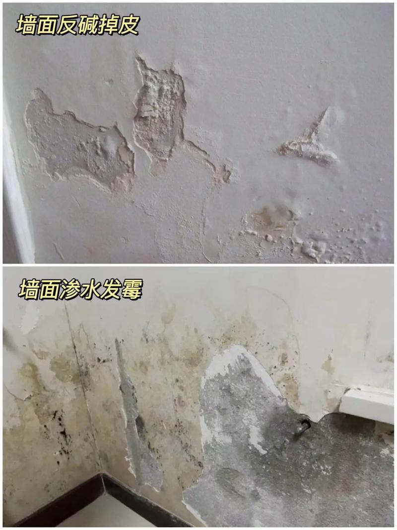 看房时检查漏水发霉等细节图