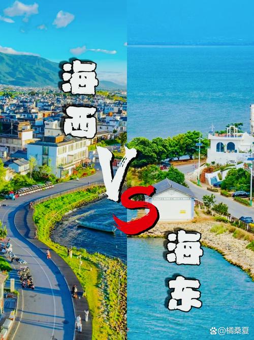 二、洱海边的“低价环湖”和“网红照”骗局